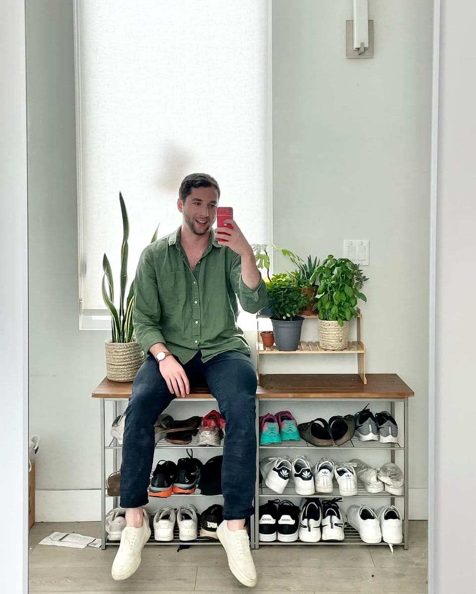 basil plant near mirror