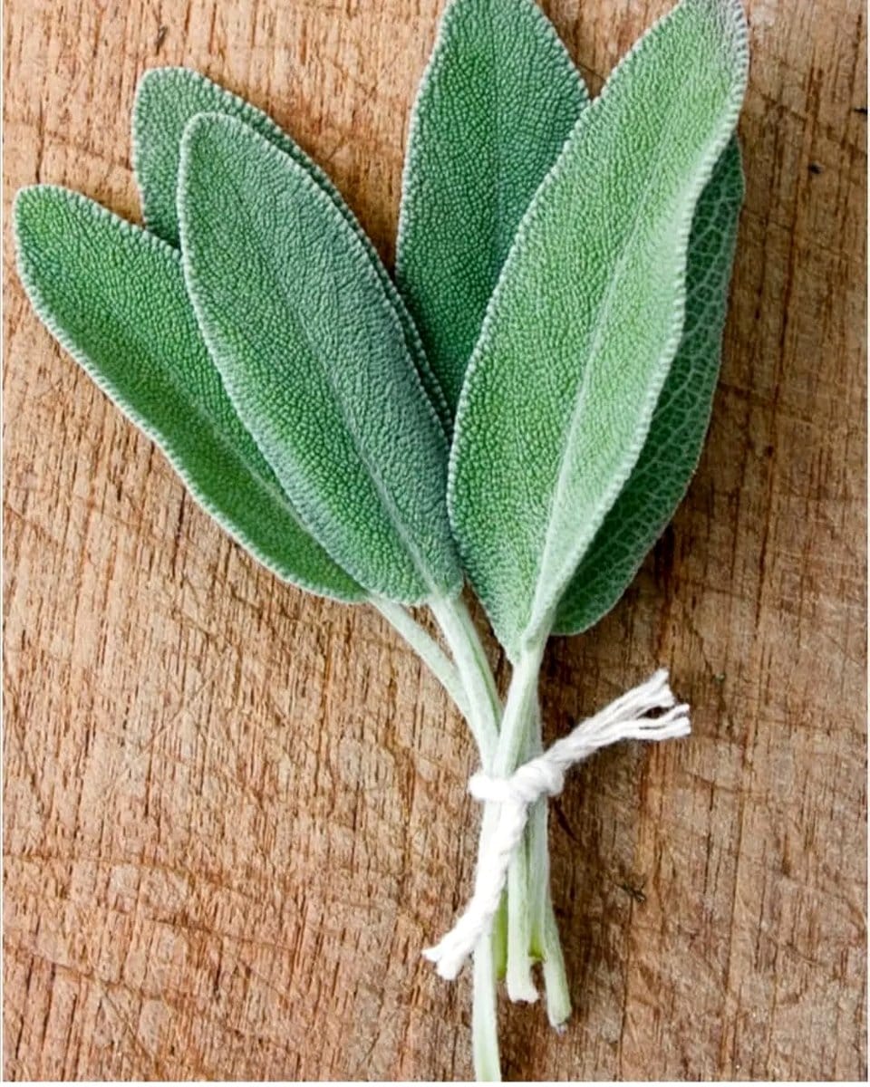 sage leaves on a wooden table