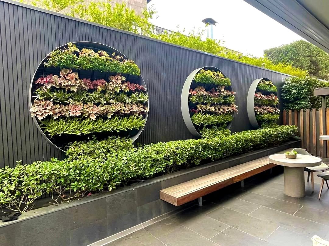 lush vertical garden wall with ferns