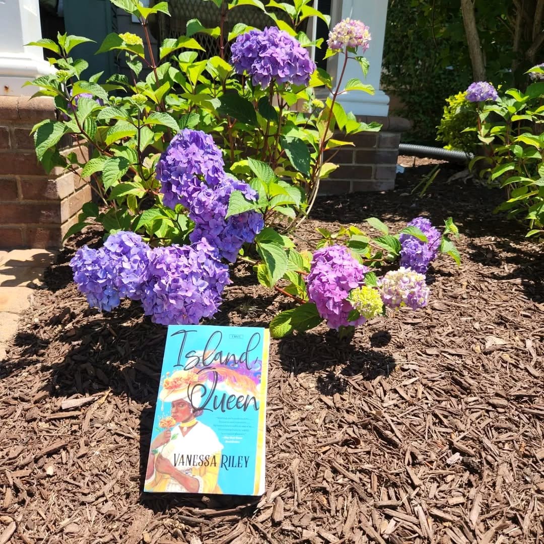 vibrant paperback book planter