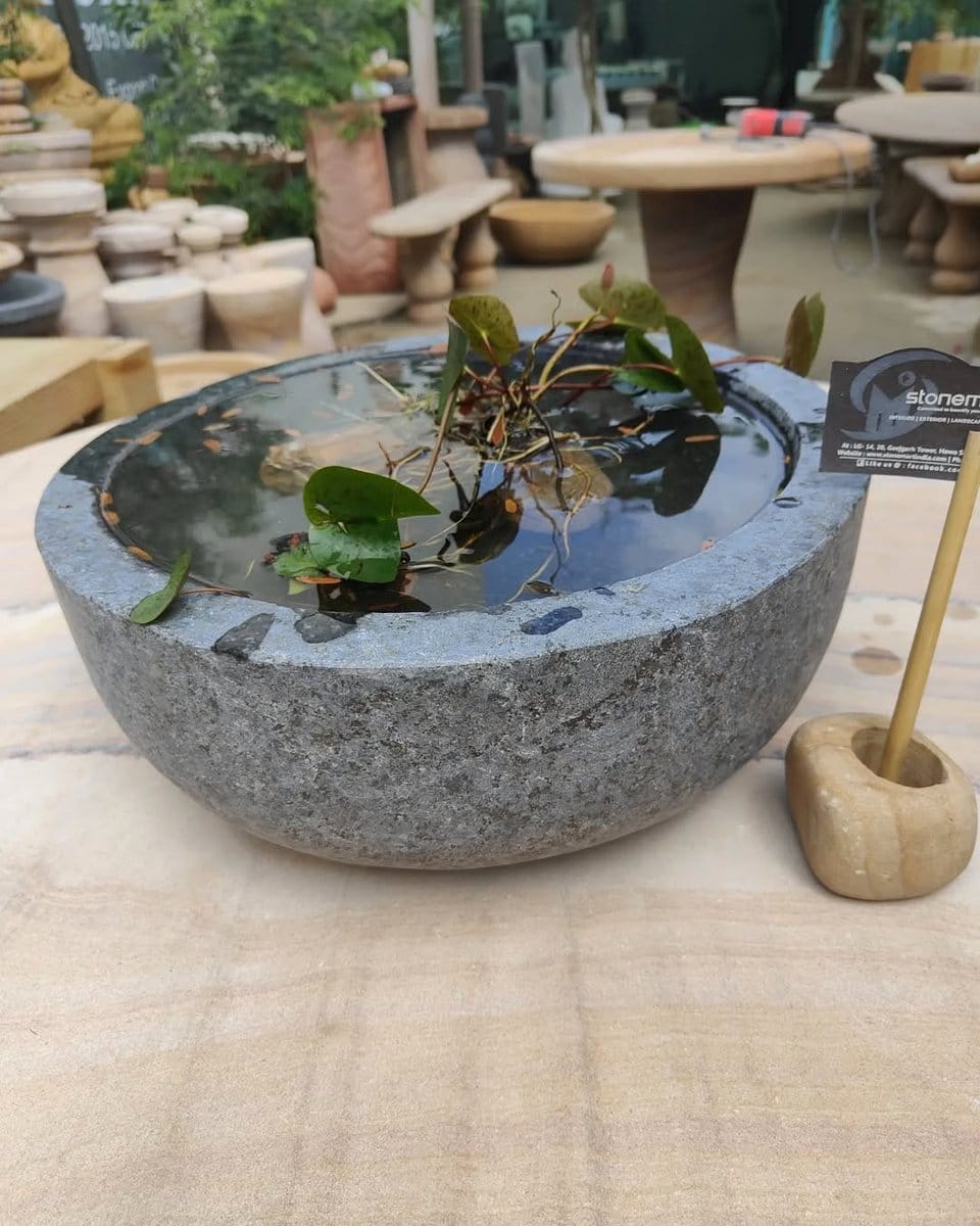 indoor water feature with lotus