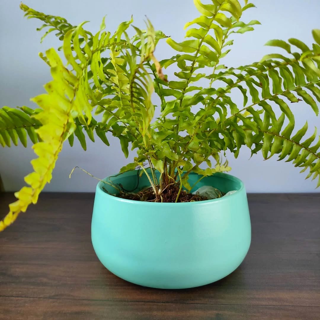 ceramic pentagon planter