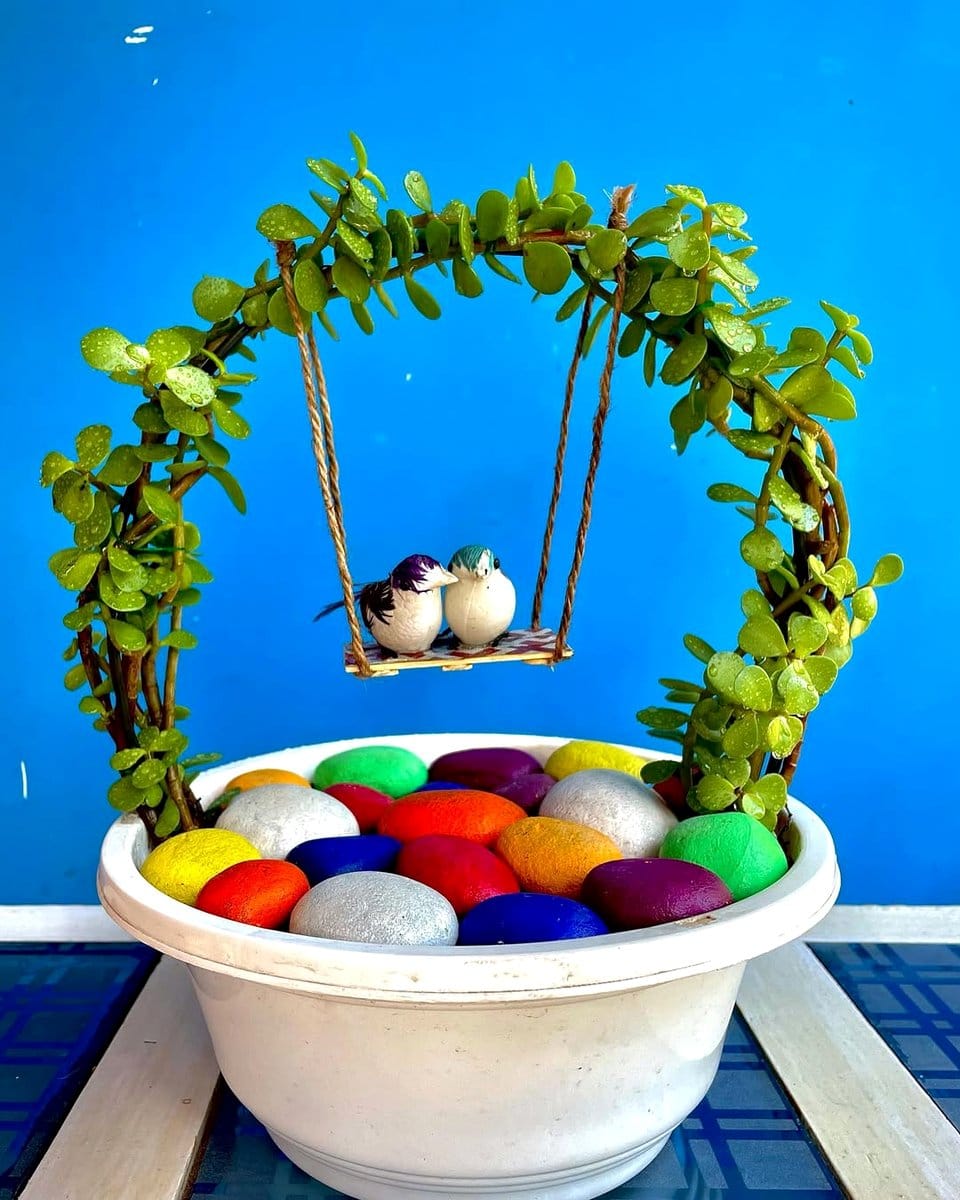 jade plant on coffee table