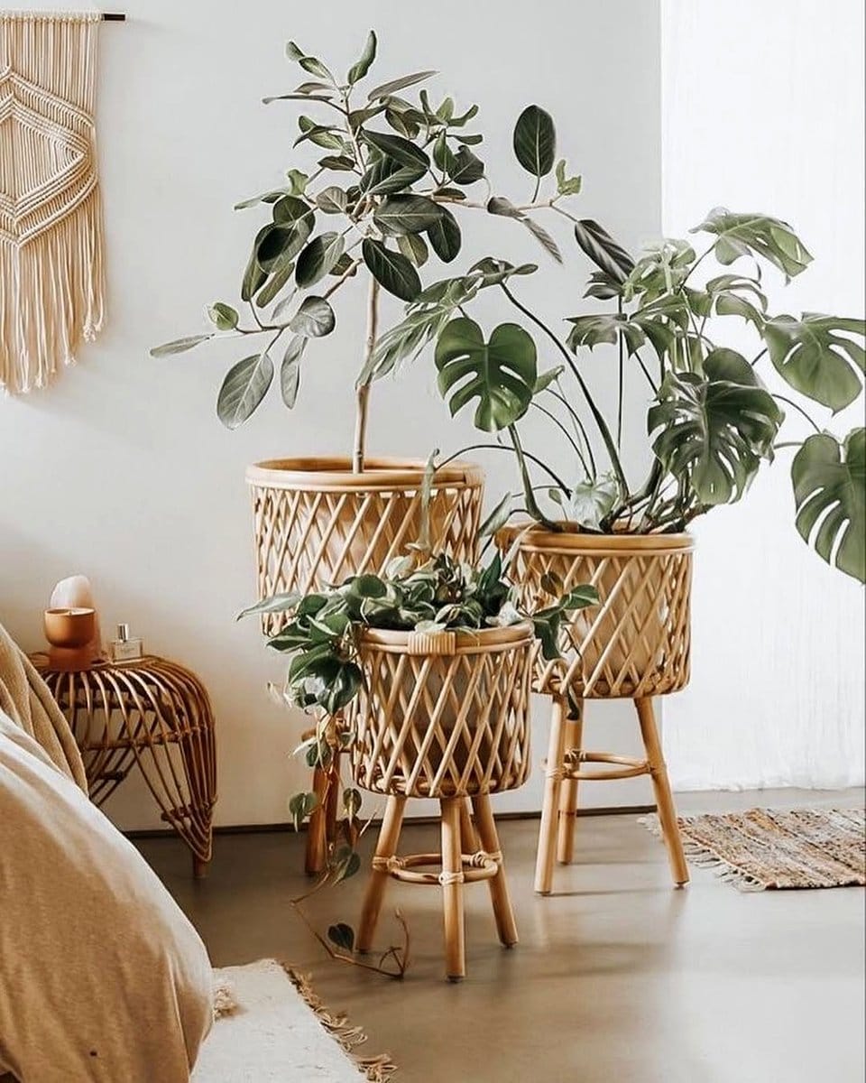 woven rattan plant stand with palm