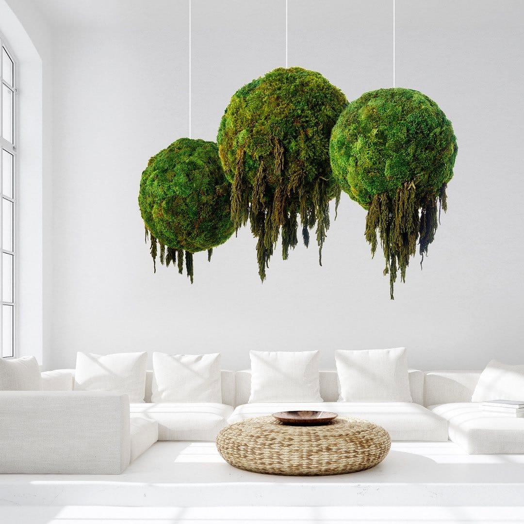 hanging preserved plant spheres