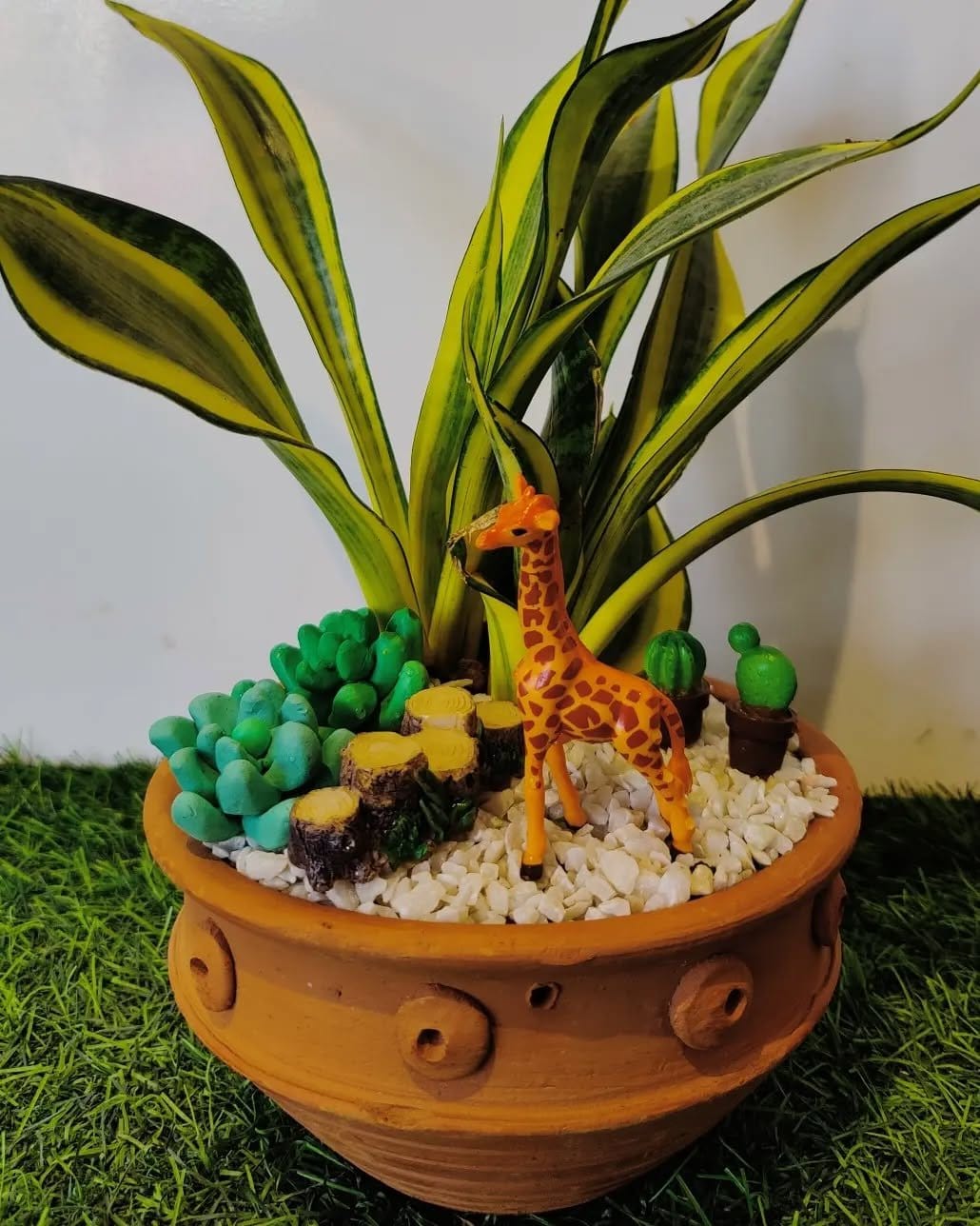 Upright snake plant in rustic clay pot