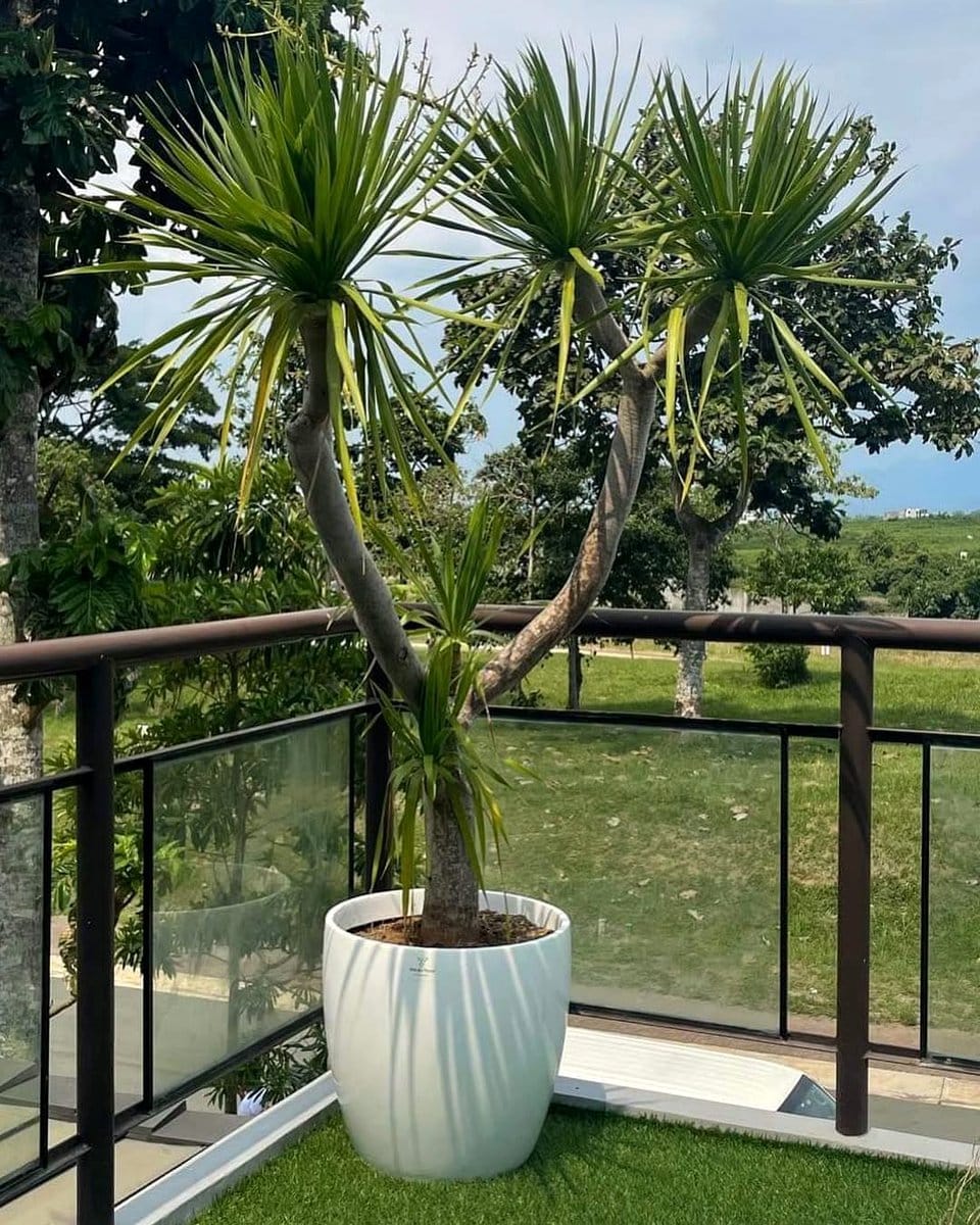 customizable fiberglass planter with name