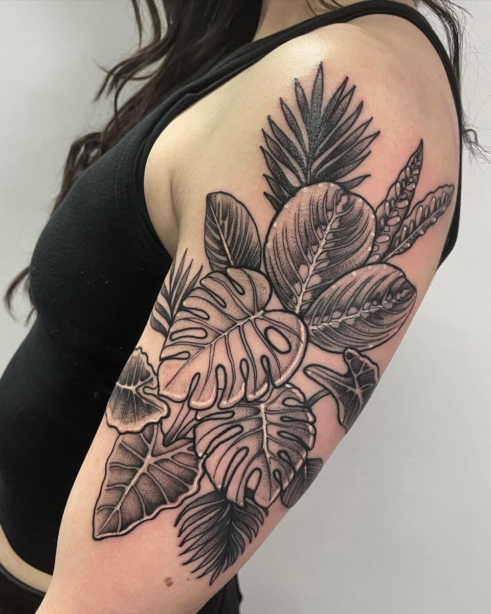 variety of tropical plants