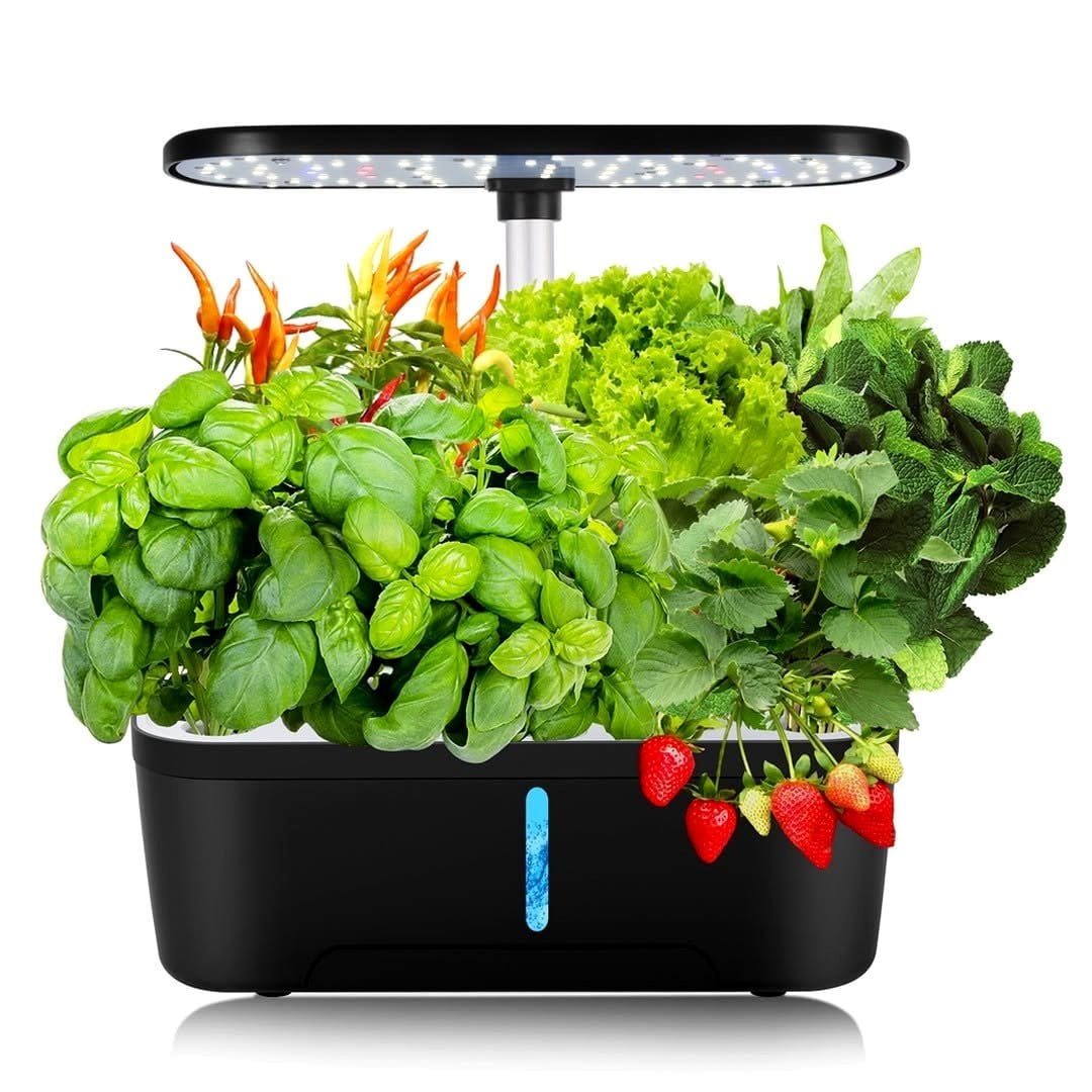 indoor hydroponic system with leafy greens