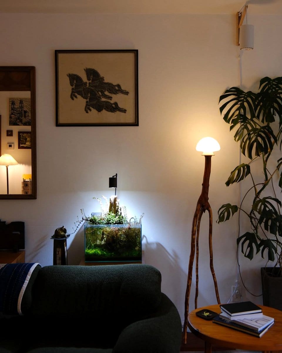 terrarium on bookshelf