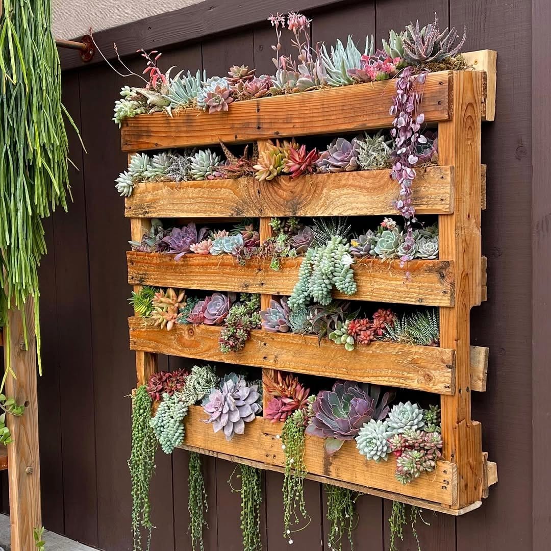 wooden pallet garden with flowers