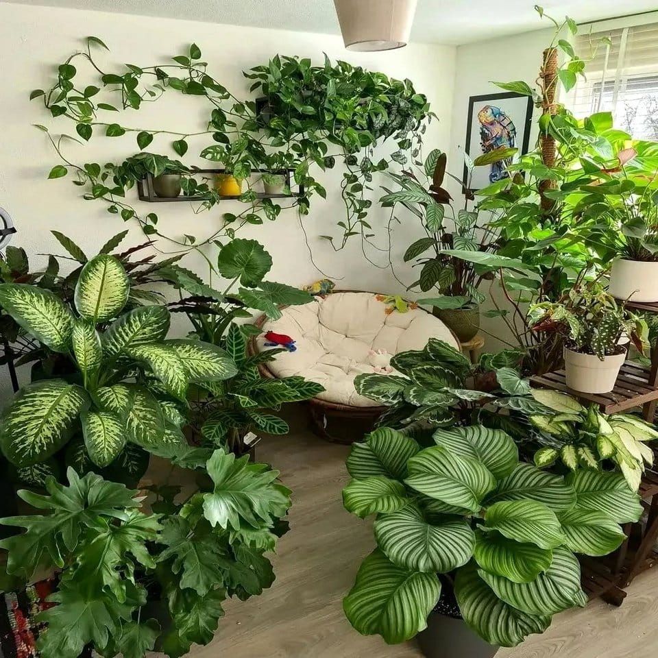 Living plant wall in modern interior