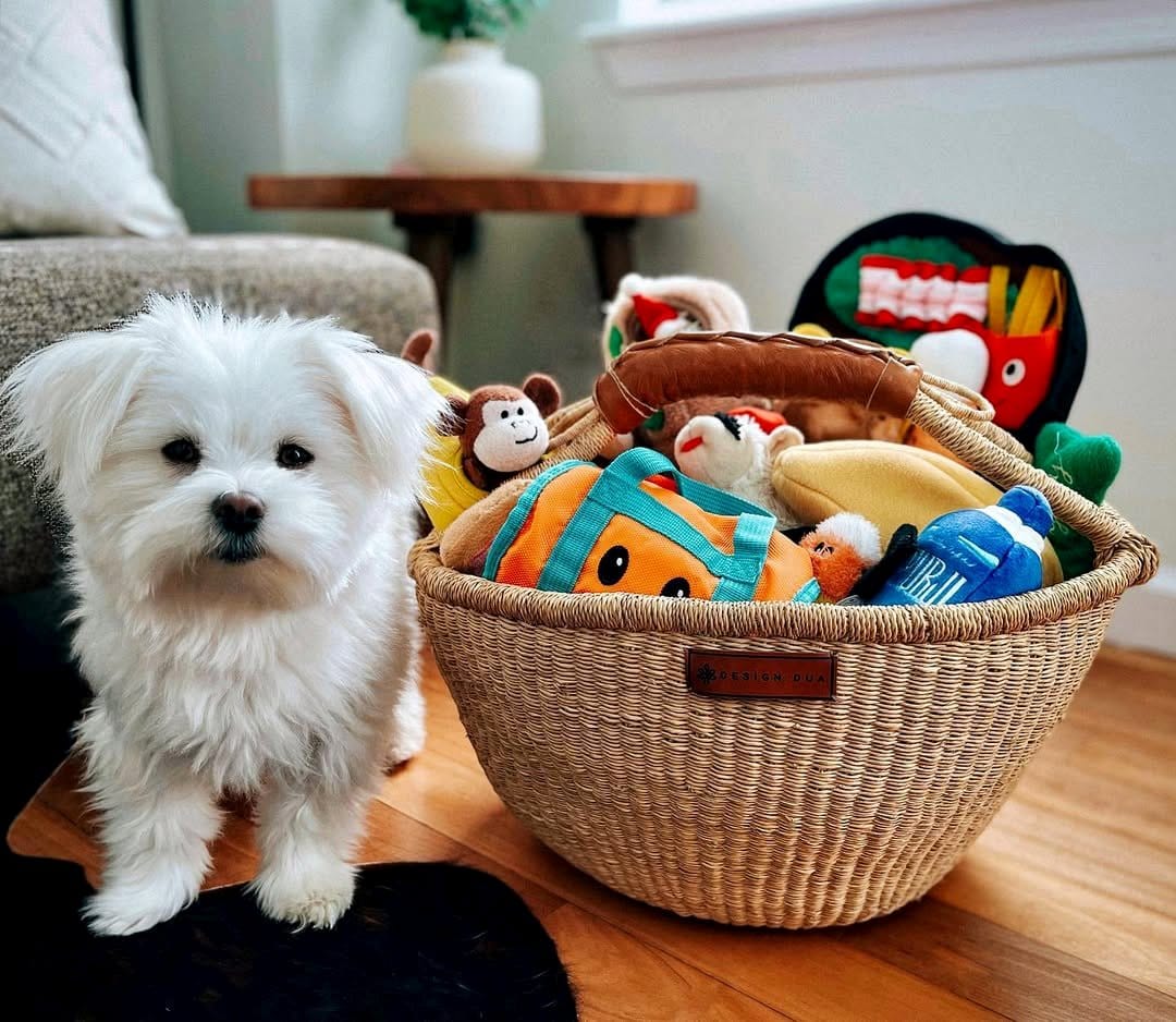 woven basket with pet toys