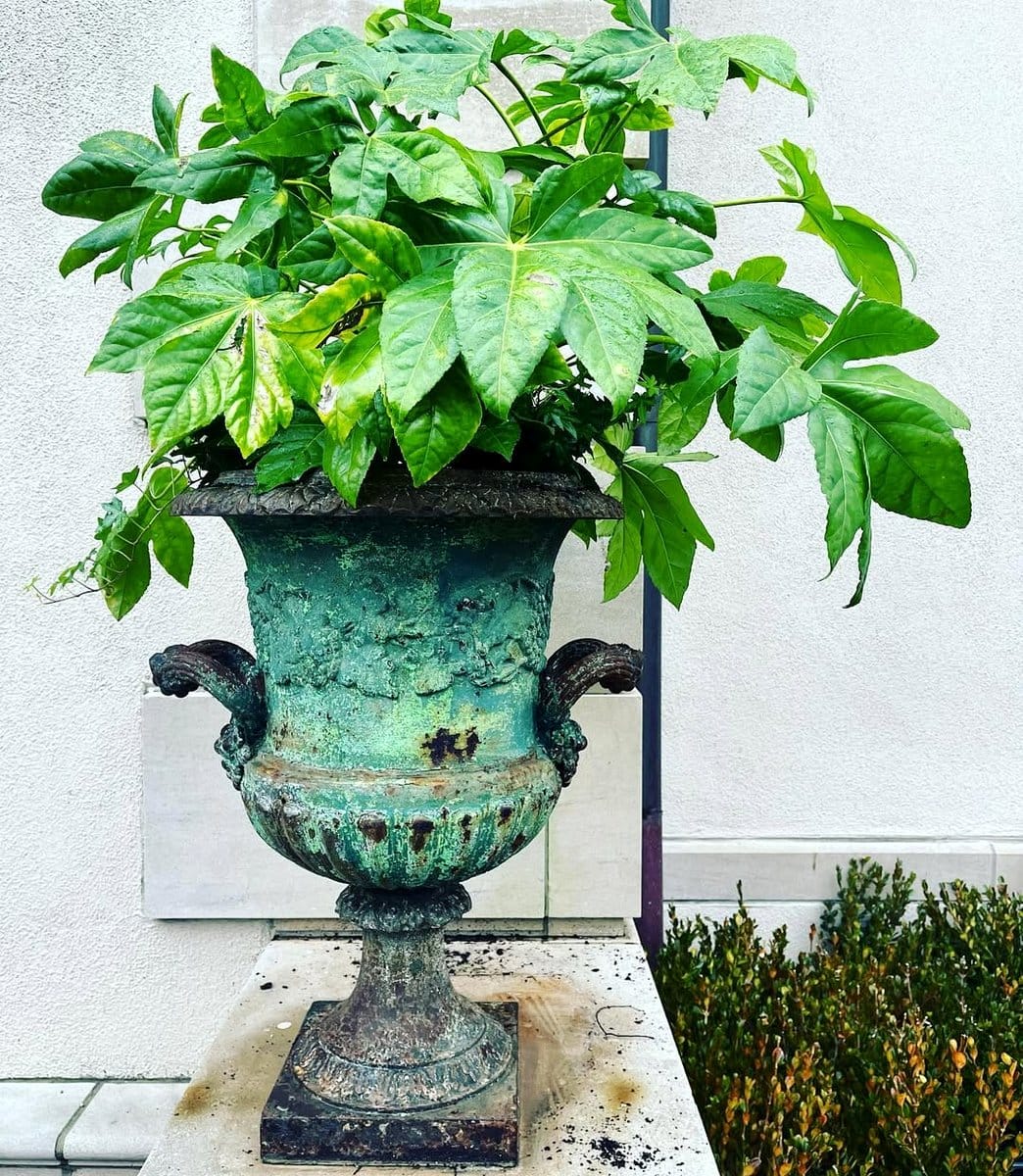 vintage cast iron urn with fern