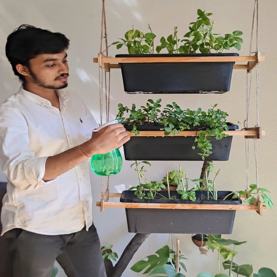 Hanging wooden shelf with small potted herbs