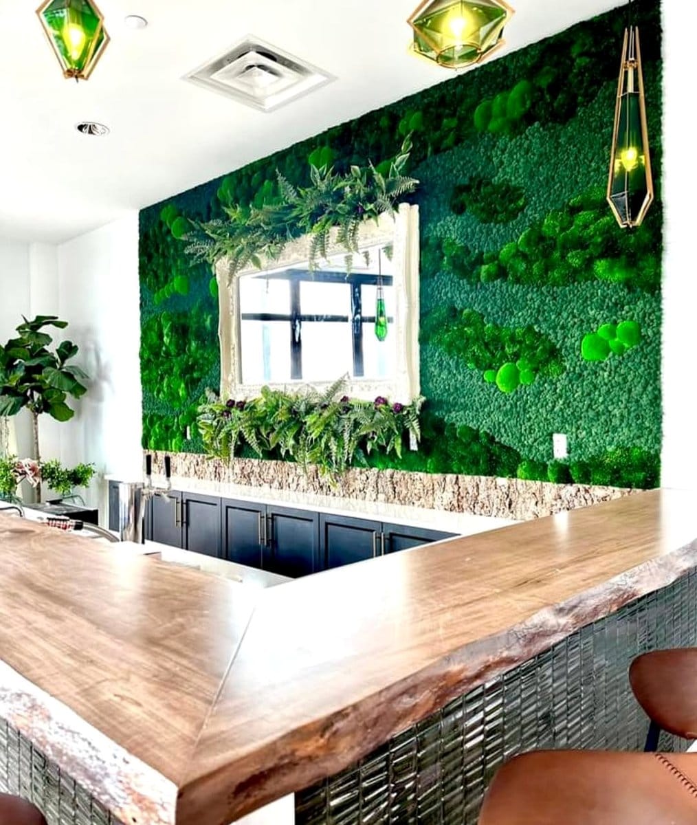 large mirror reflecting indoor plants