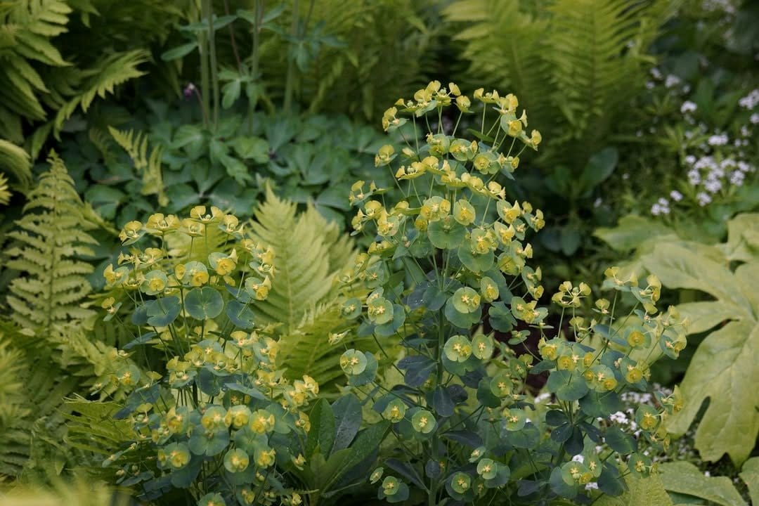 reclaimed wood vertical garden with wildflowers