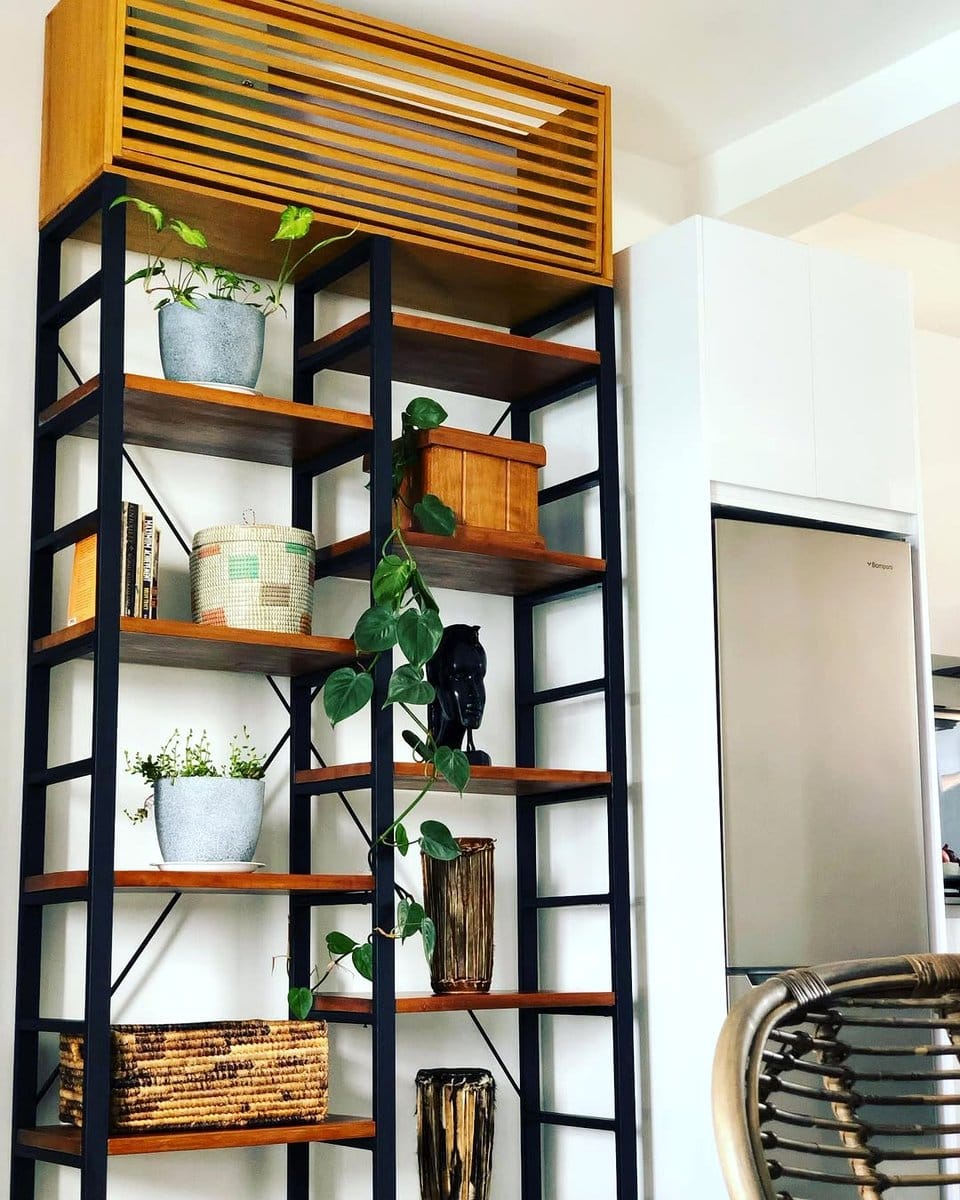 snake plant and peace lily on wooden shelf