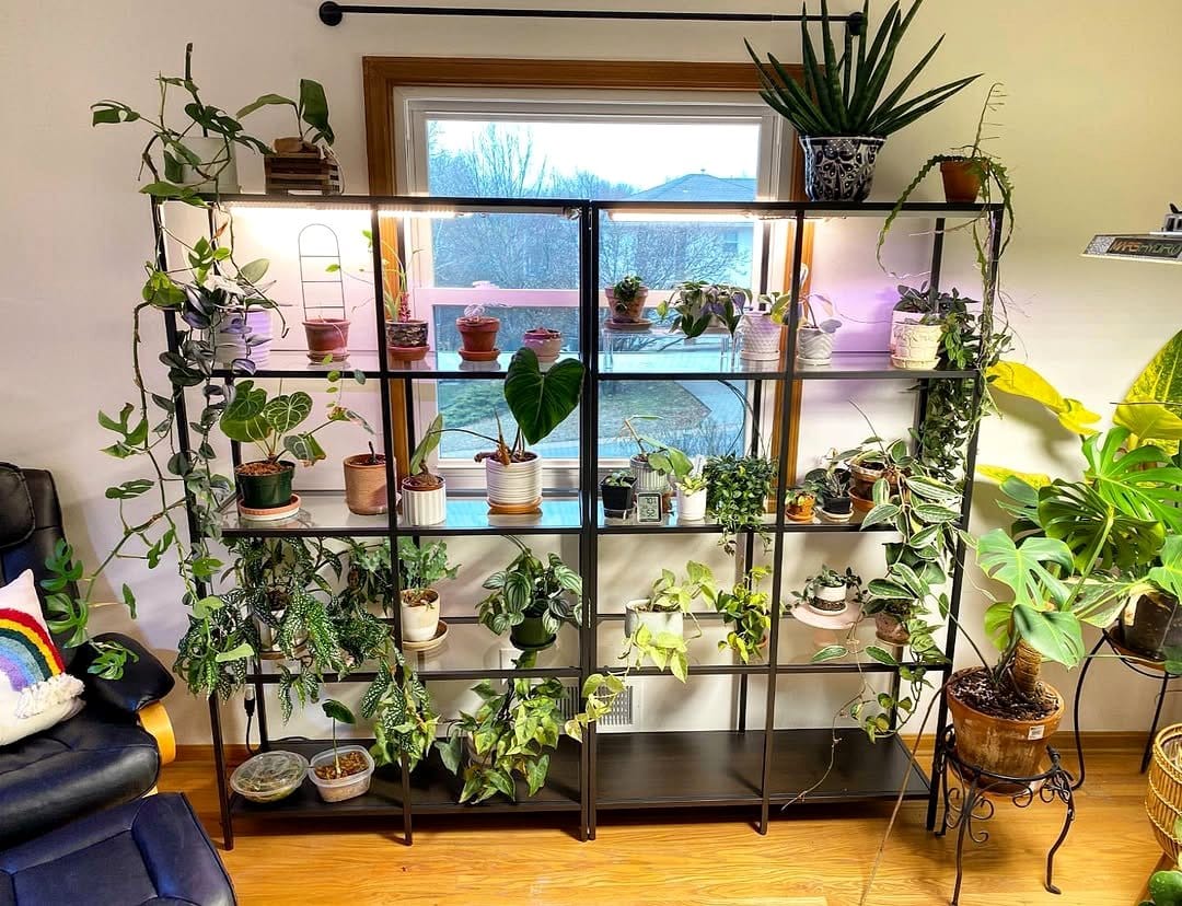 floating shelf in study