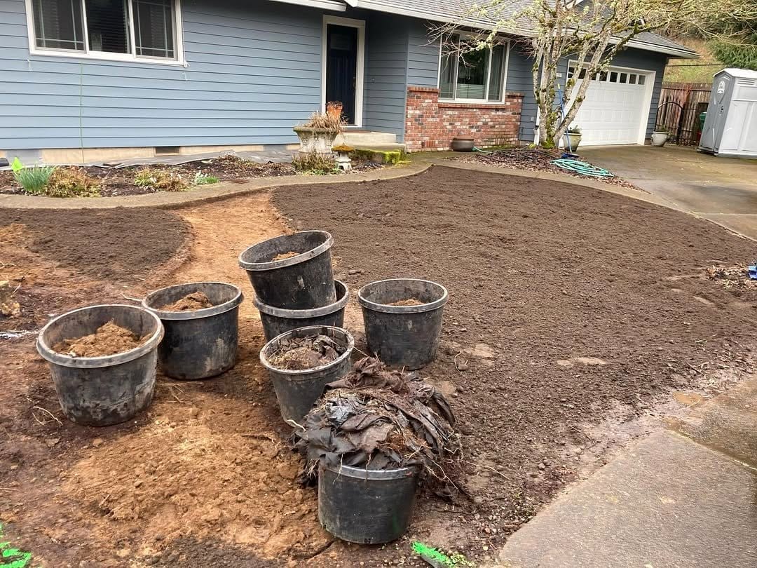 plant with bark mulch covering soil