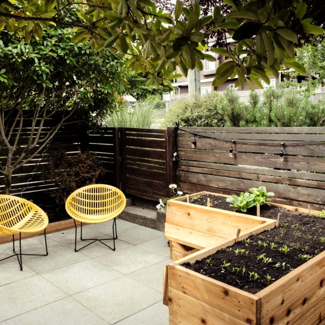 Barn wood raised garden bed with vegetables