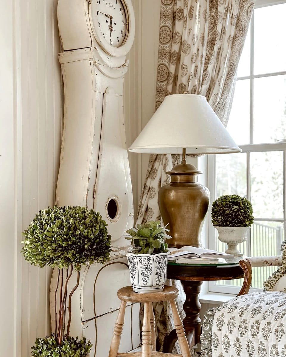 lavender plant in a terracotta pot