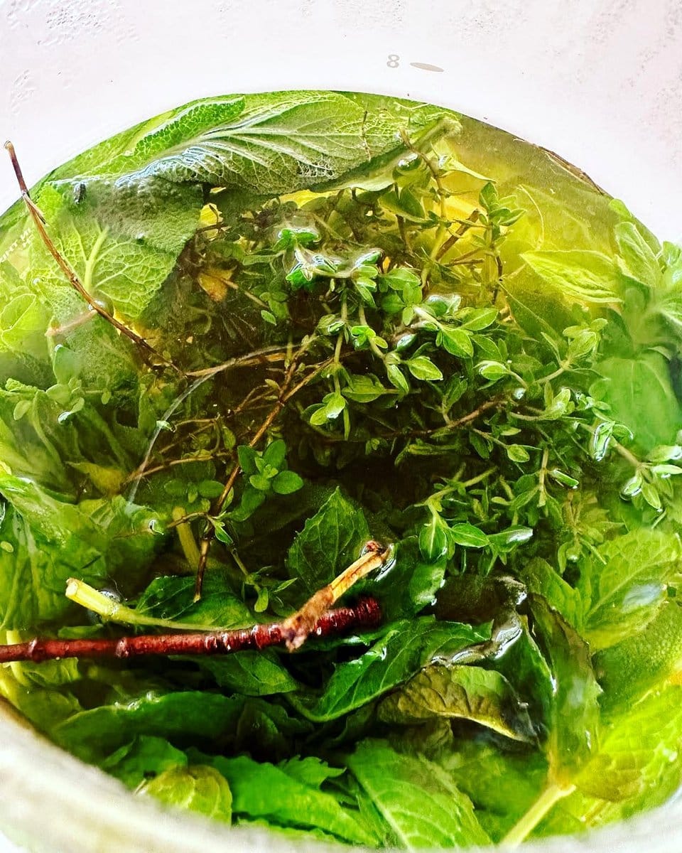 herb garden with thyme and oregano