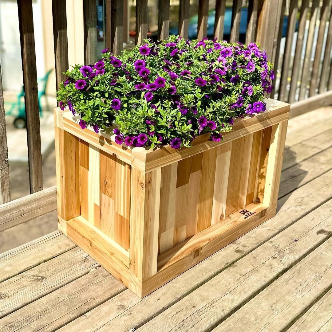 Lush herbs in rustic wooden crate