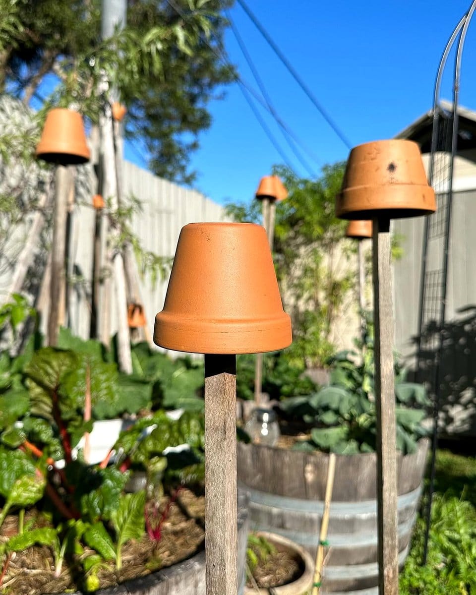 terra cotta garden border