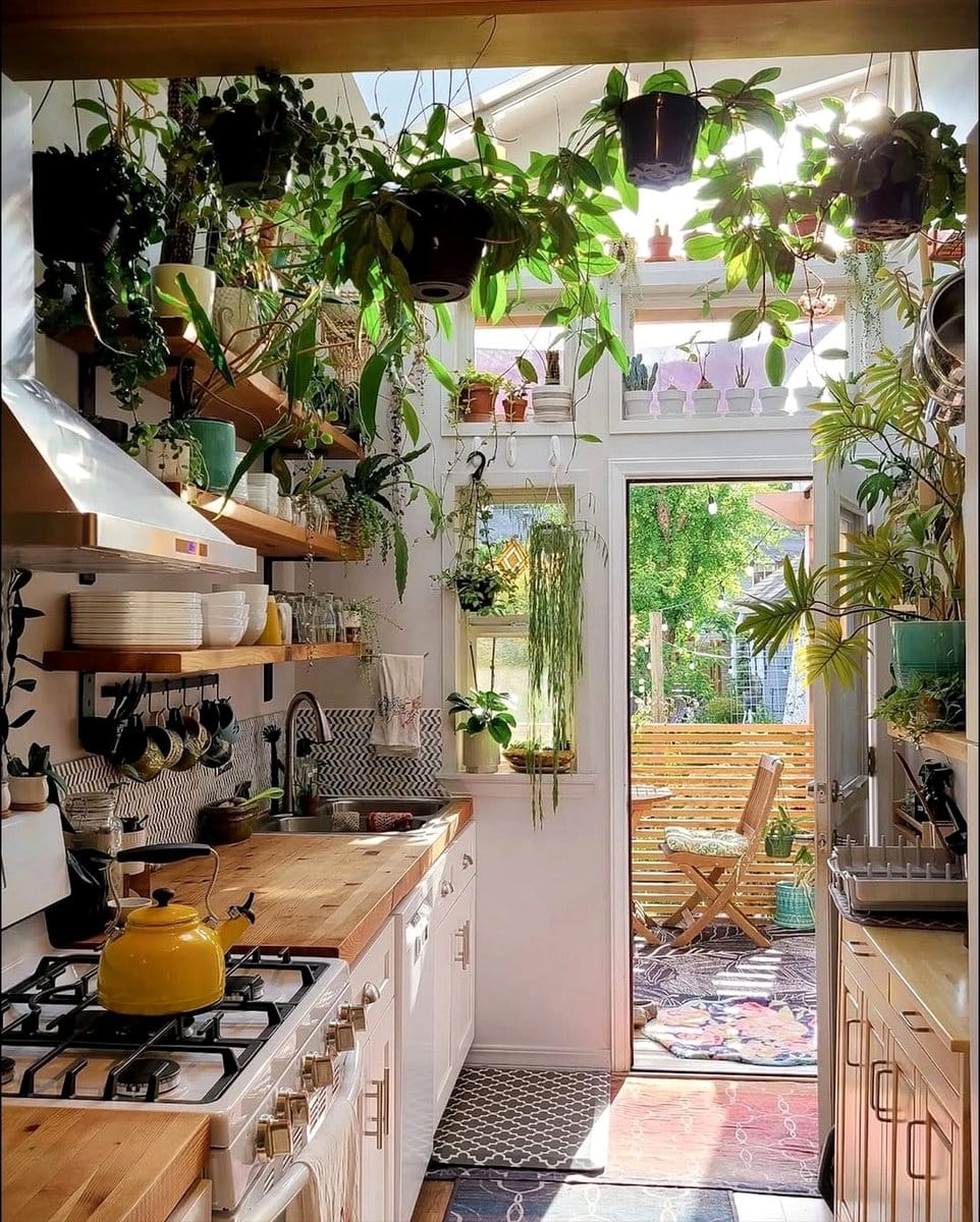 minimalist hanging planter in kitchen