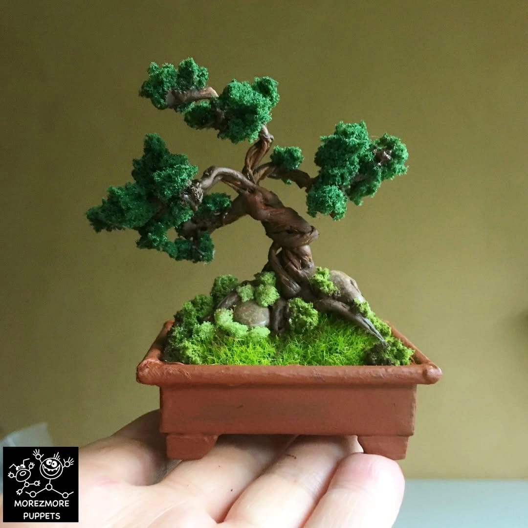 square pot with bonsai tree