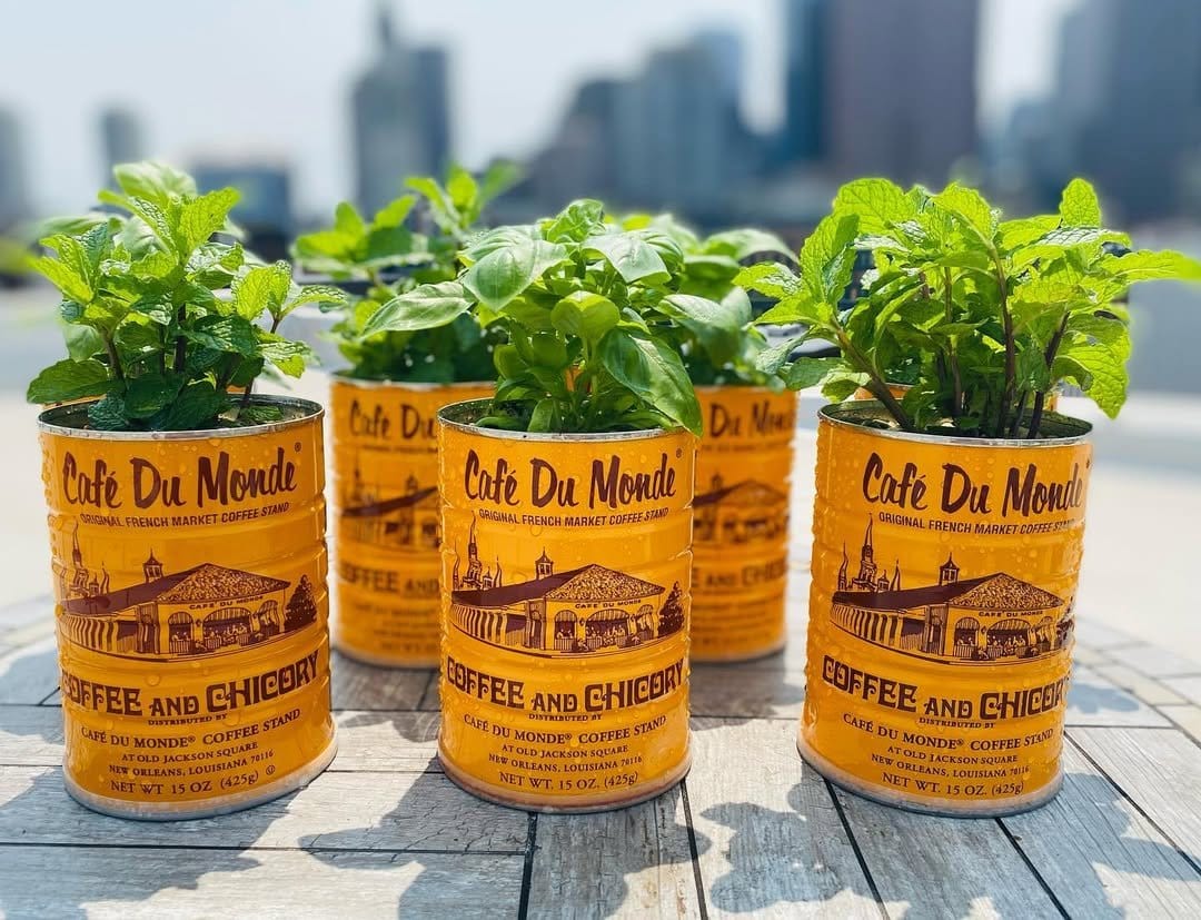 Vibrant basil in colorful tin cans
