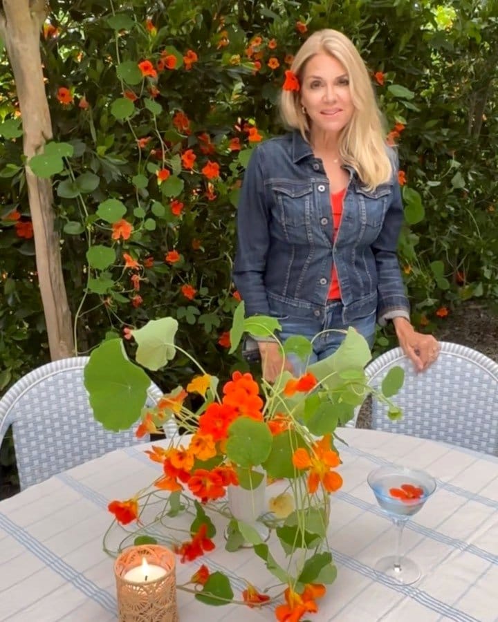 colorful nasturtiums climbing a garden trellis
