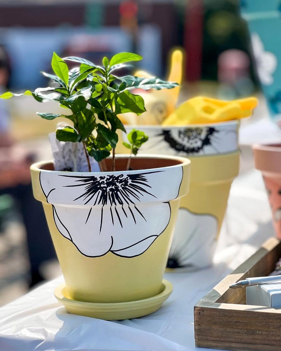 colorful painted pottery planter