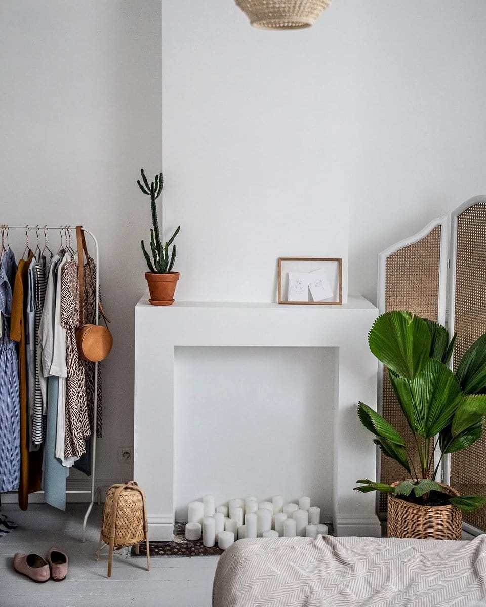 potted ferns in a room corner