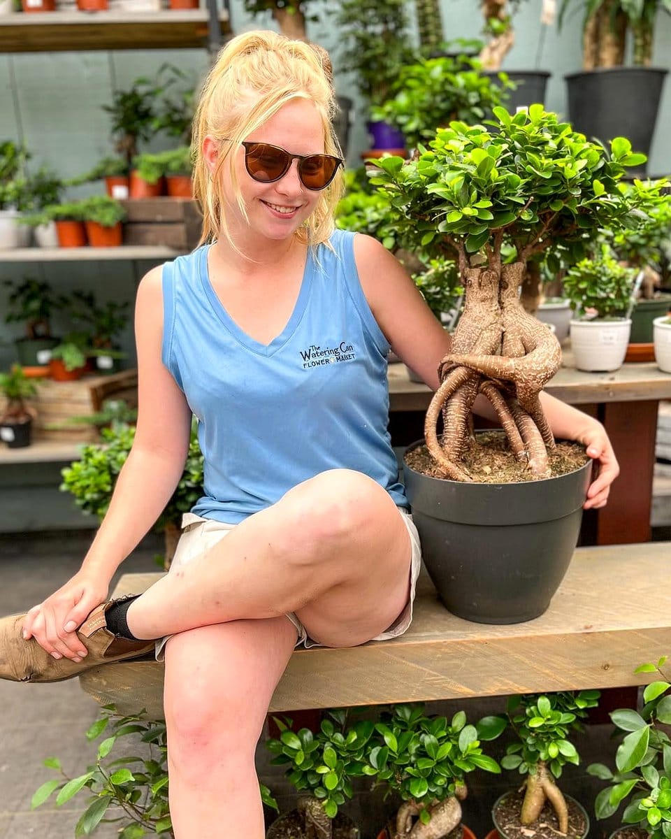 zen-inspired plant pots with bonsai trees