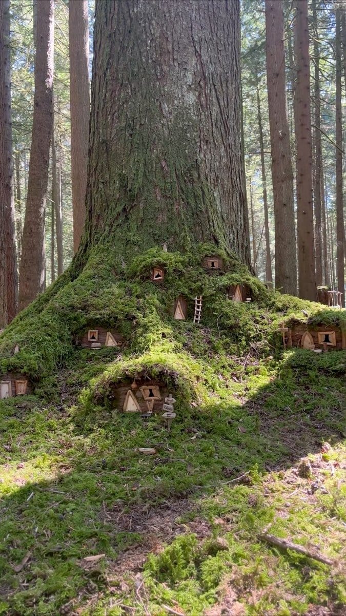 miniature cork bark fairy garden