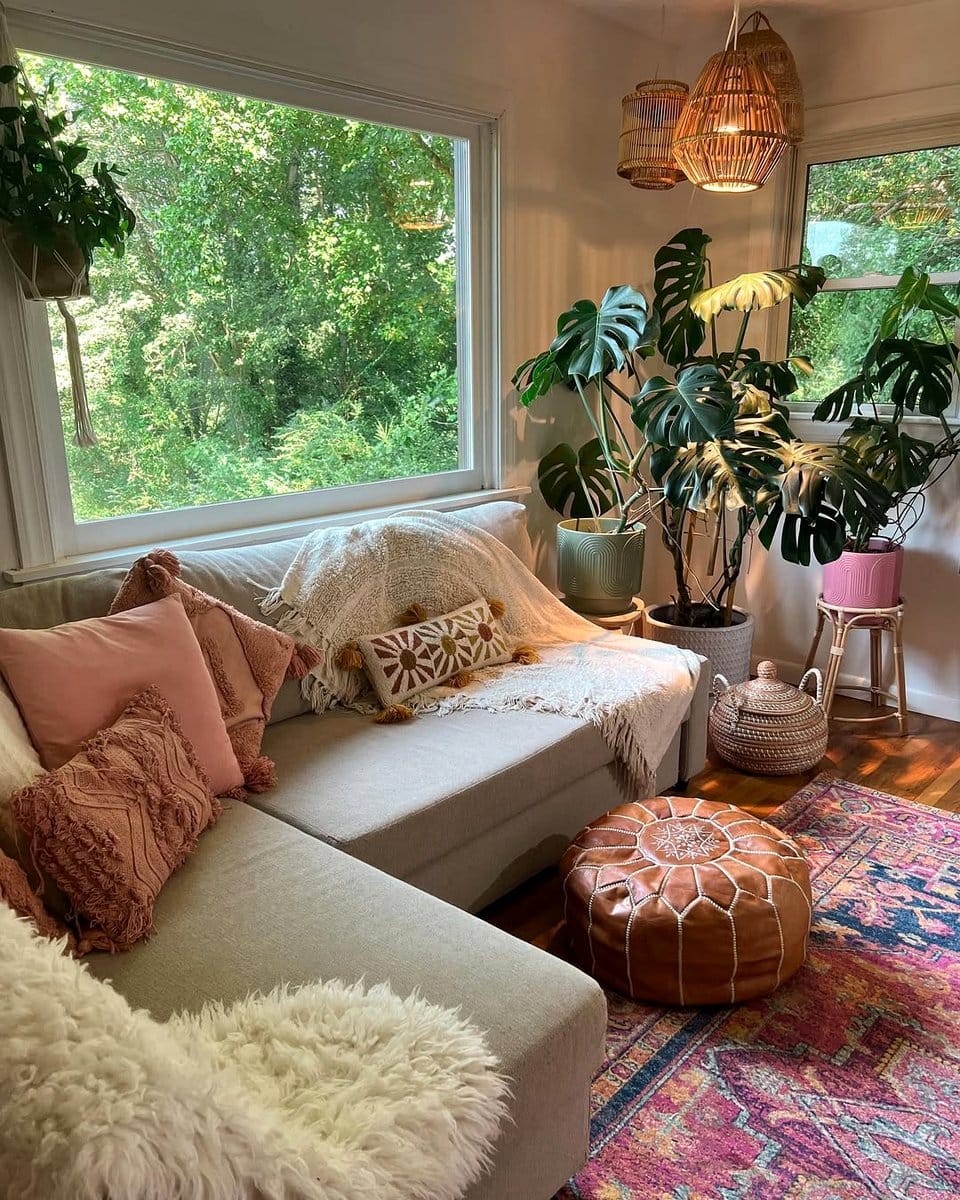 monstera plant beside sofa