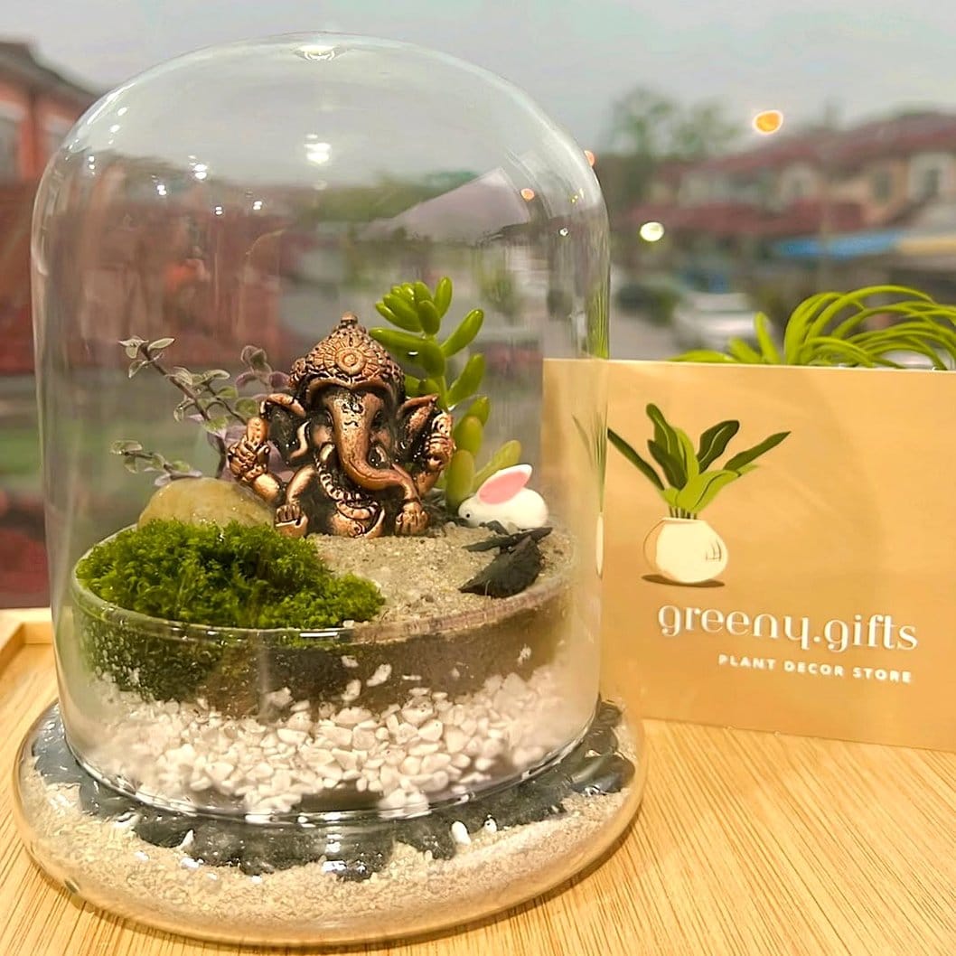 Sleek glass terrarium coffee table with succulents