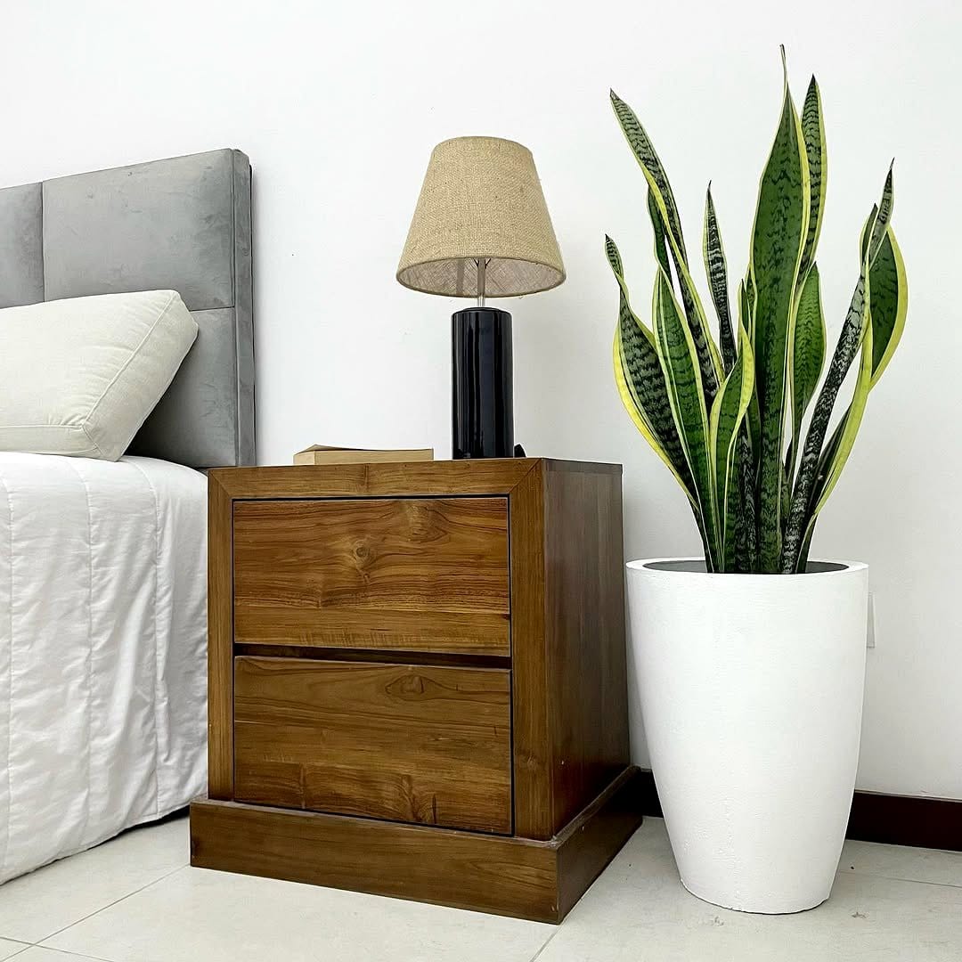 snake plant on nightstand