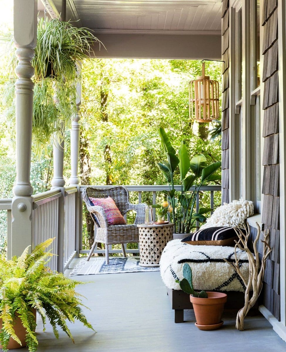 spider plant and boston fern on a side table