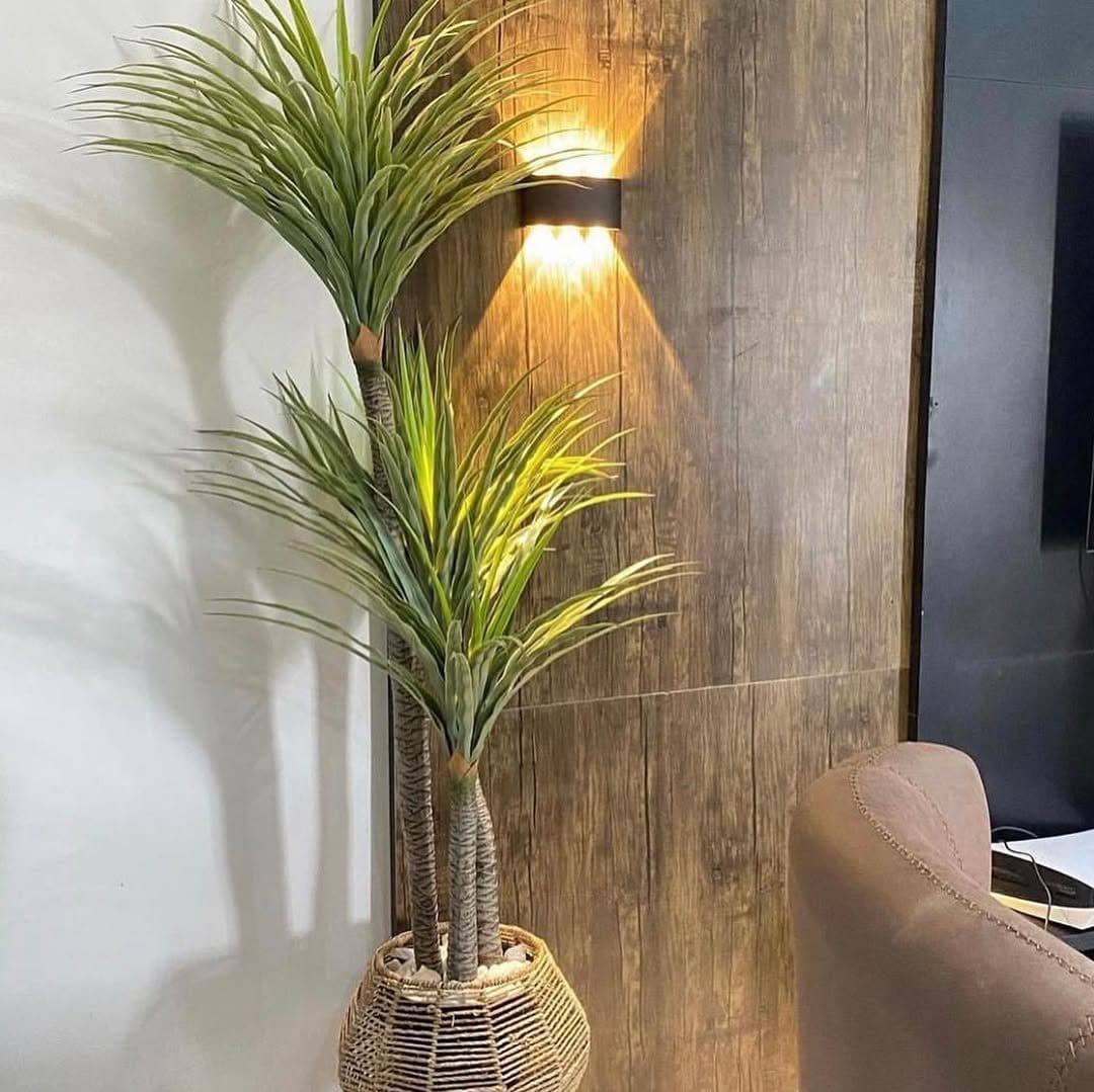 Stately yucca in natural wood planter