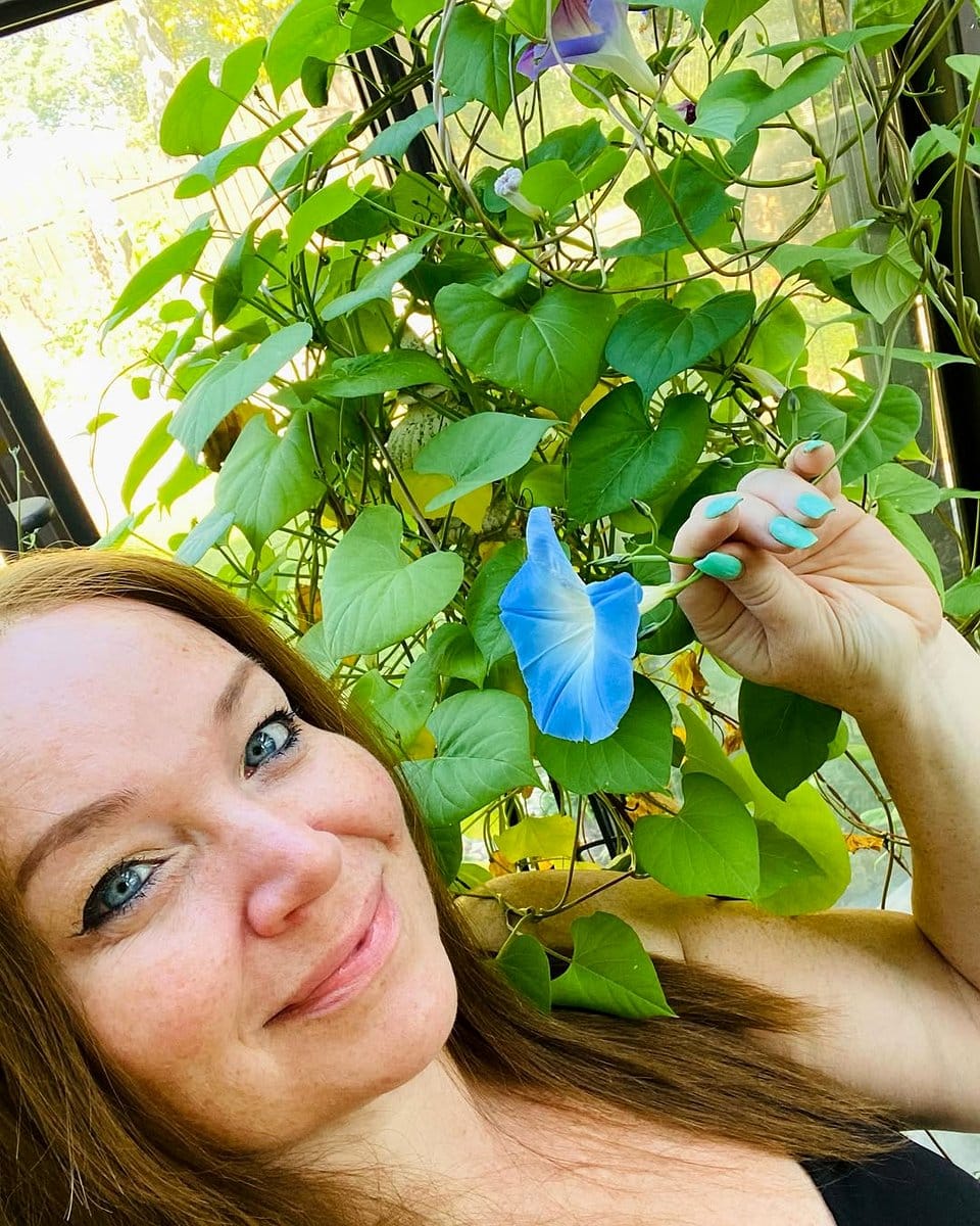 bright flowering plants in sunroom