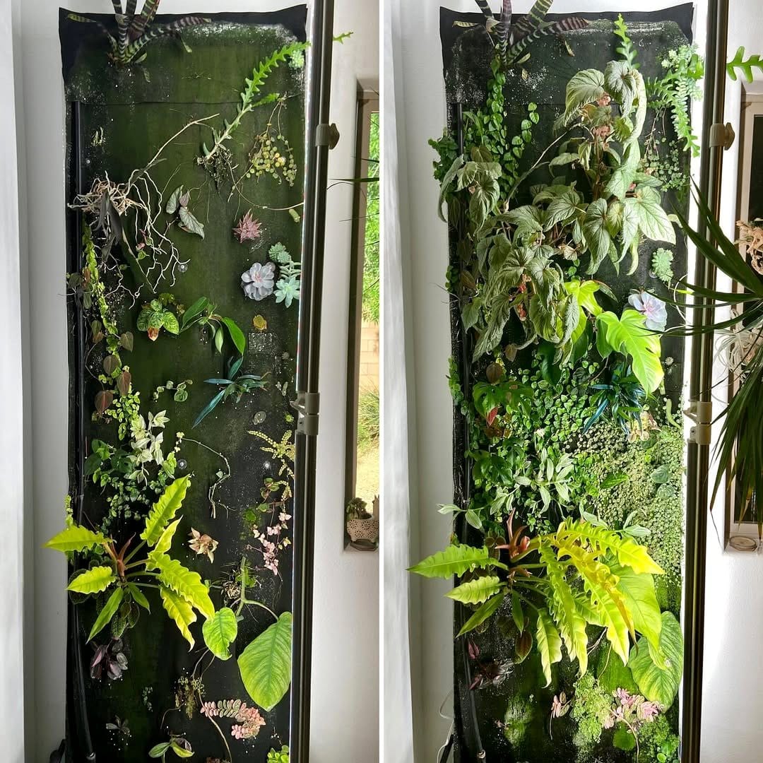 wooden log planter with moss