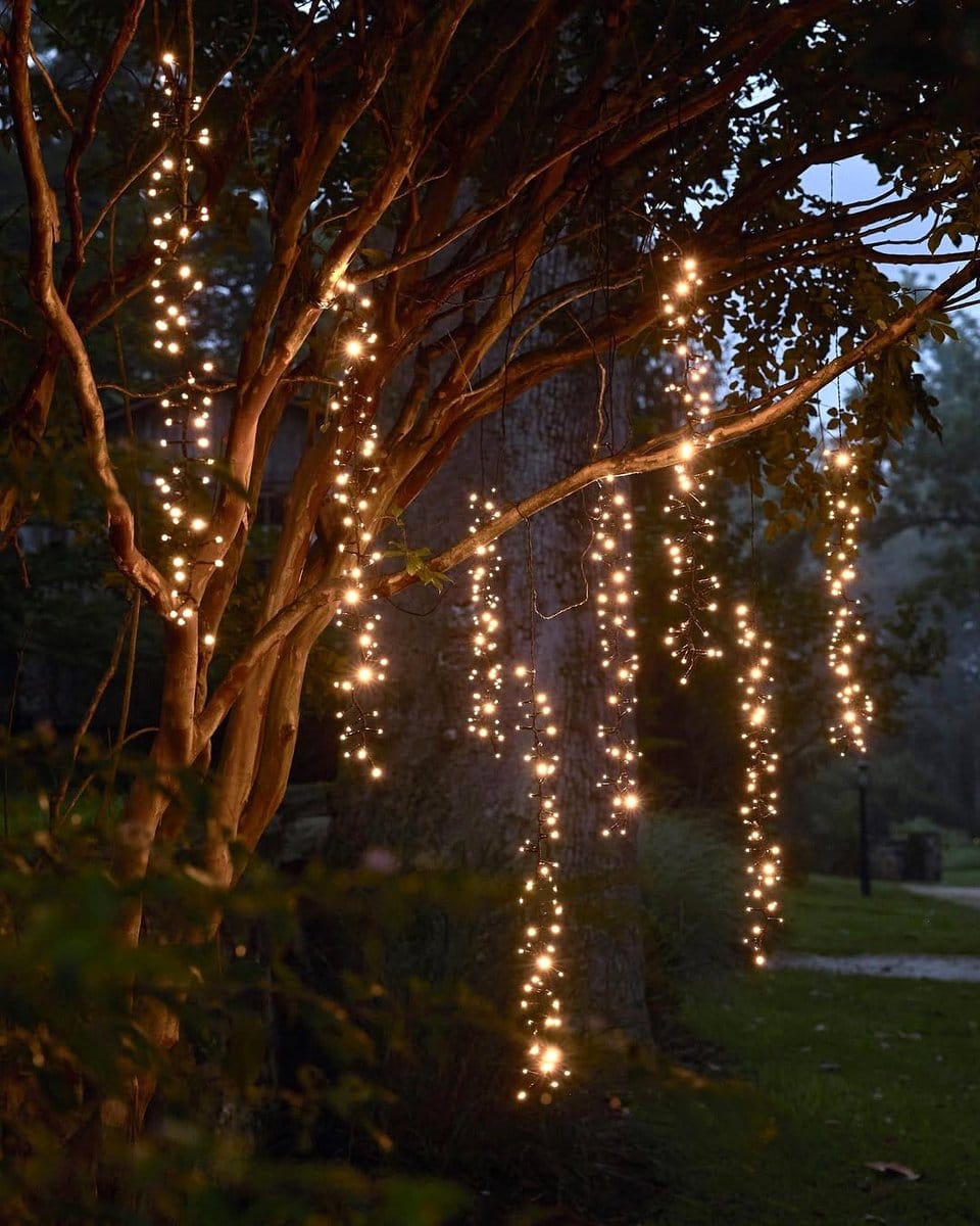 Outdoor party with plant lights