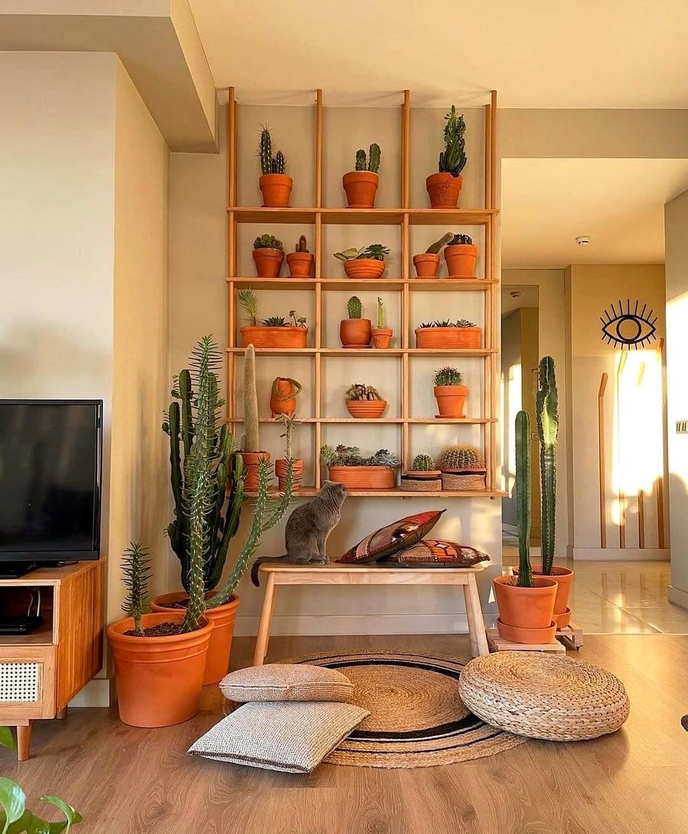 colorful pots on shelf