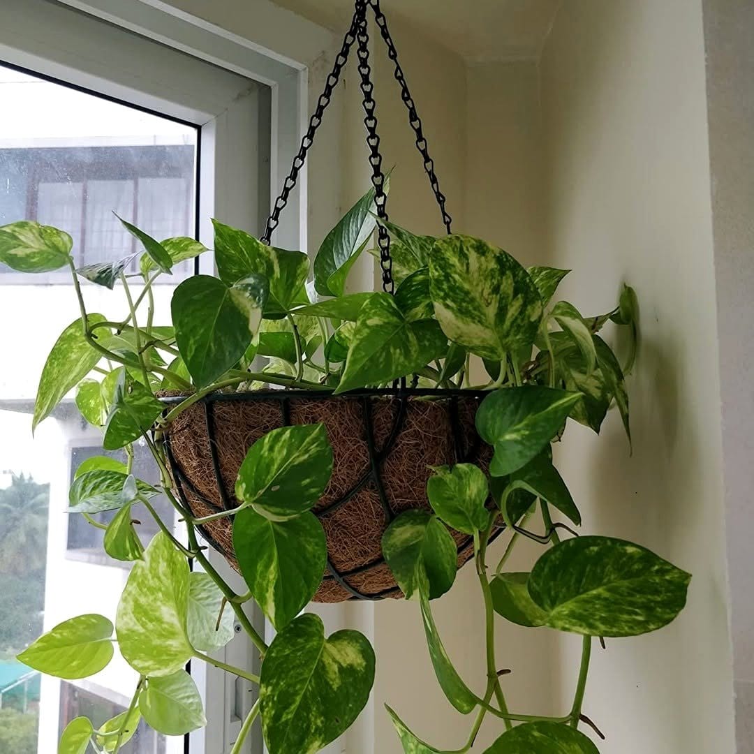 metallic hanging planter in garden
