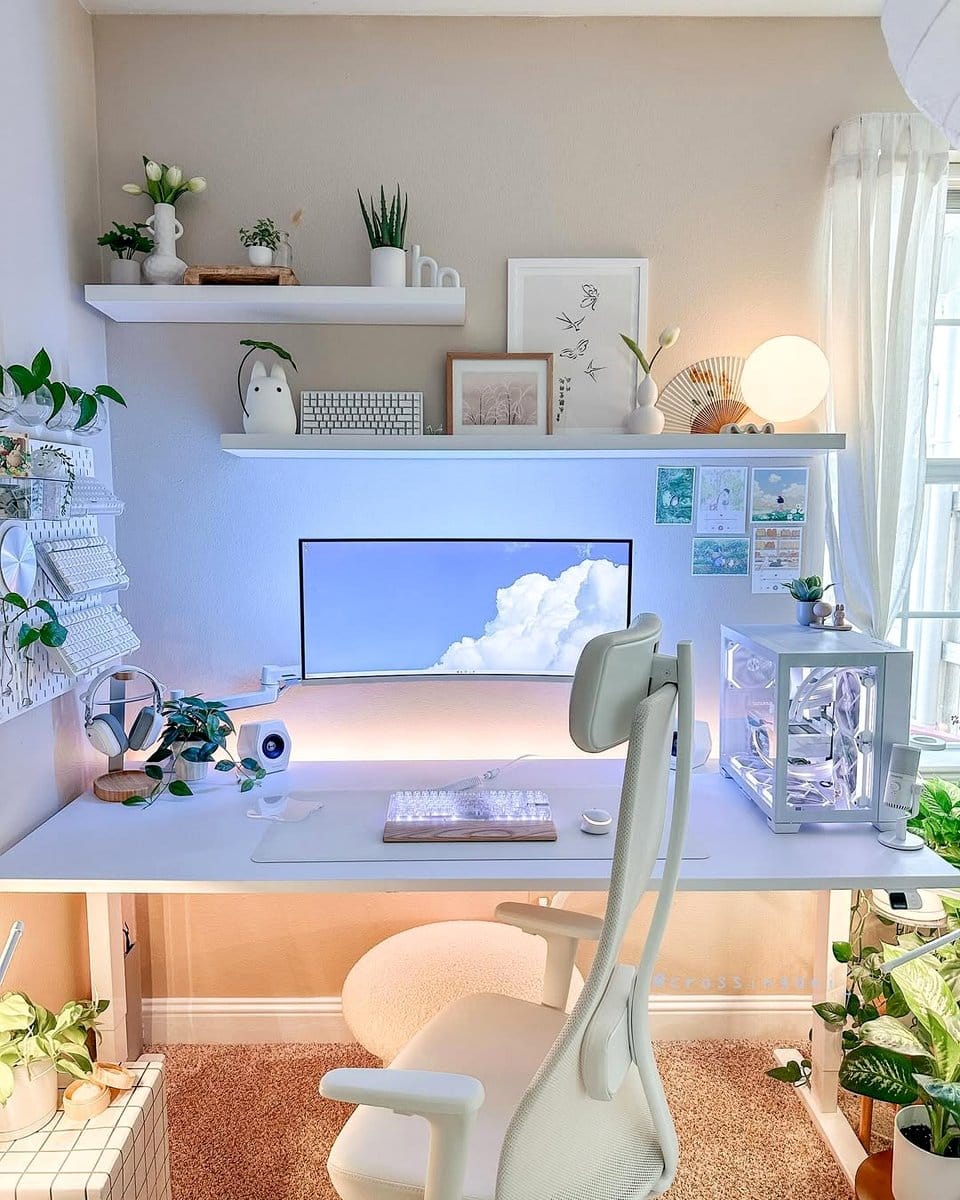 small desk plant beside computer