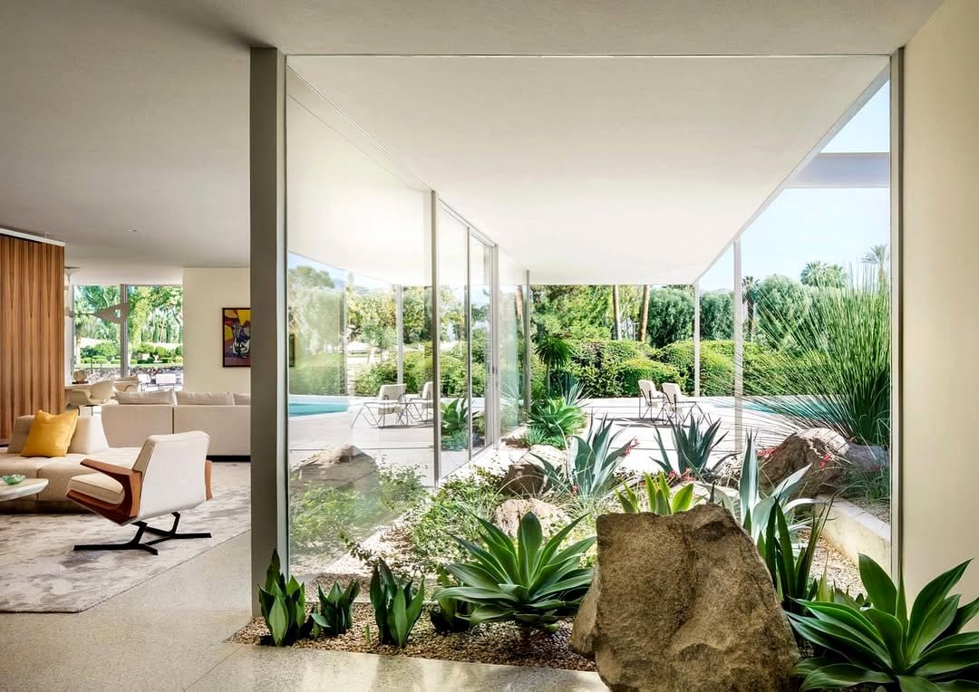 bamboo palm near fireplace