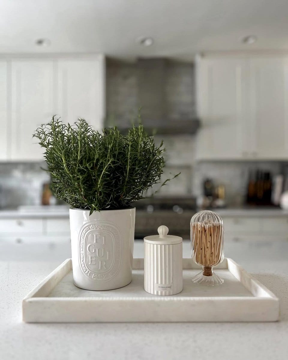 rosemary plant on kitchen counter